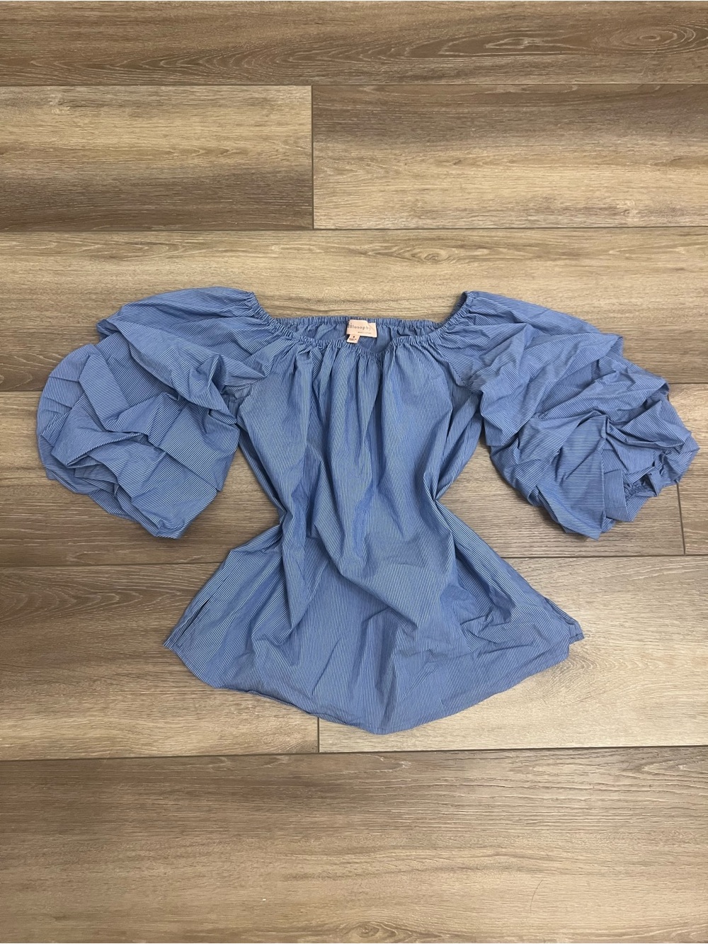 Philosophy Light Blue Shoulder Puff Sleeve Blouse